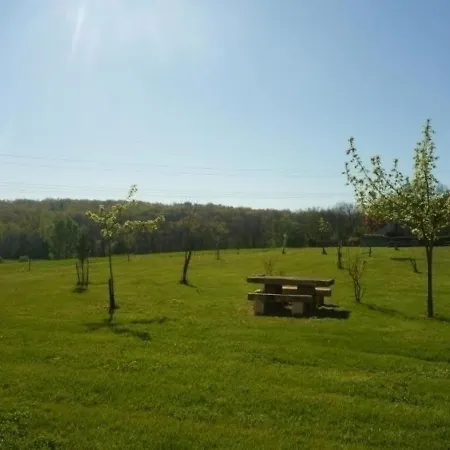 Pompignac, 5 Pièces, 8 Personnes - Fr-1-440-320 Hébergement de vacances